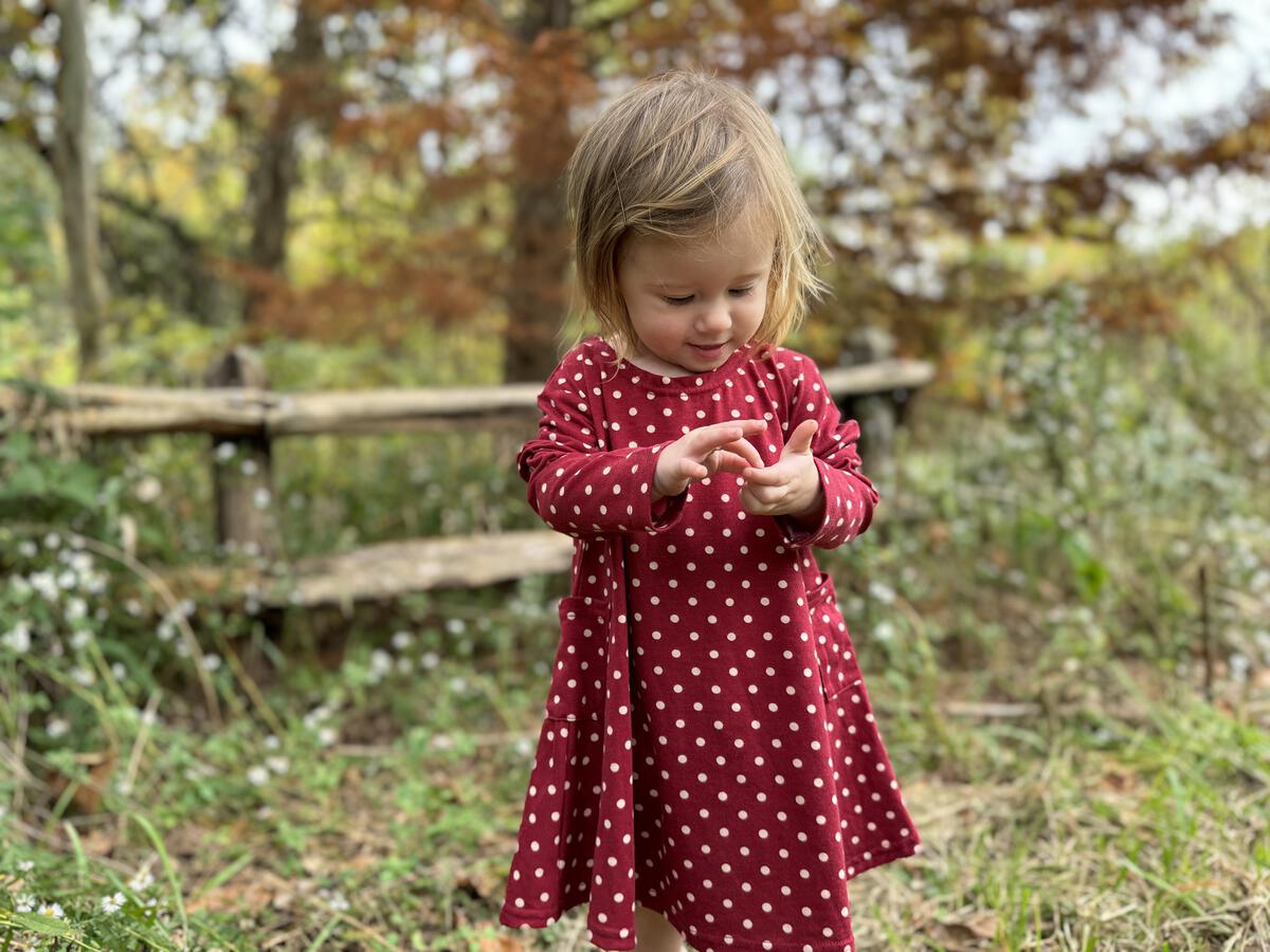 VIGNETTE BURGANDY DRESS