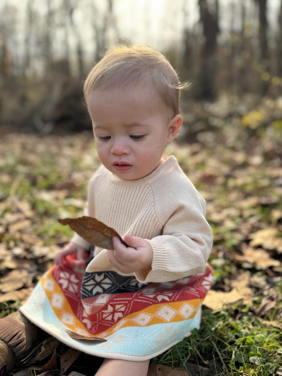 VIGNETTE FALL SWEATER DRESS